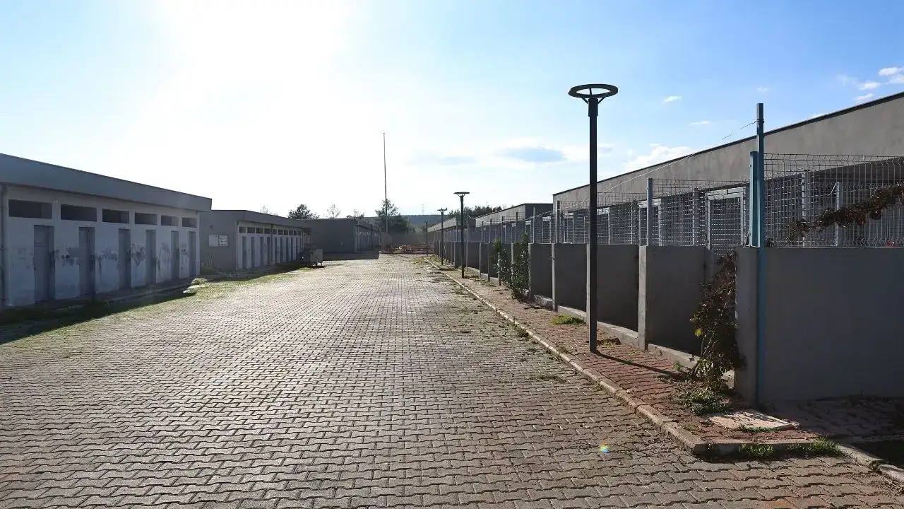 Antalya’da Patili Dostlar İçin Umut Yılı: Binlerce Can Kurtarıldı! 1